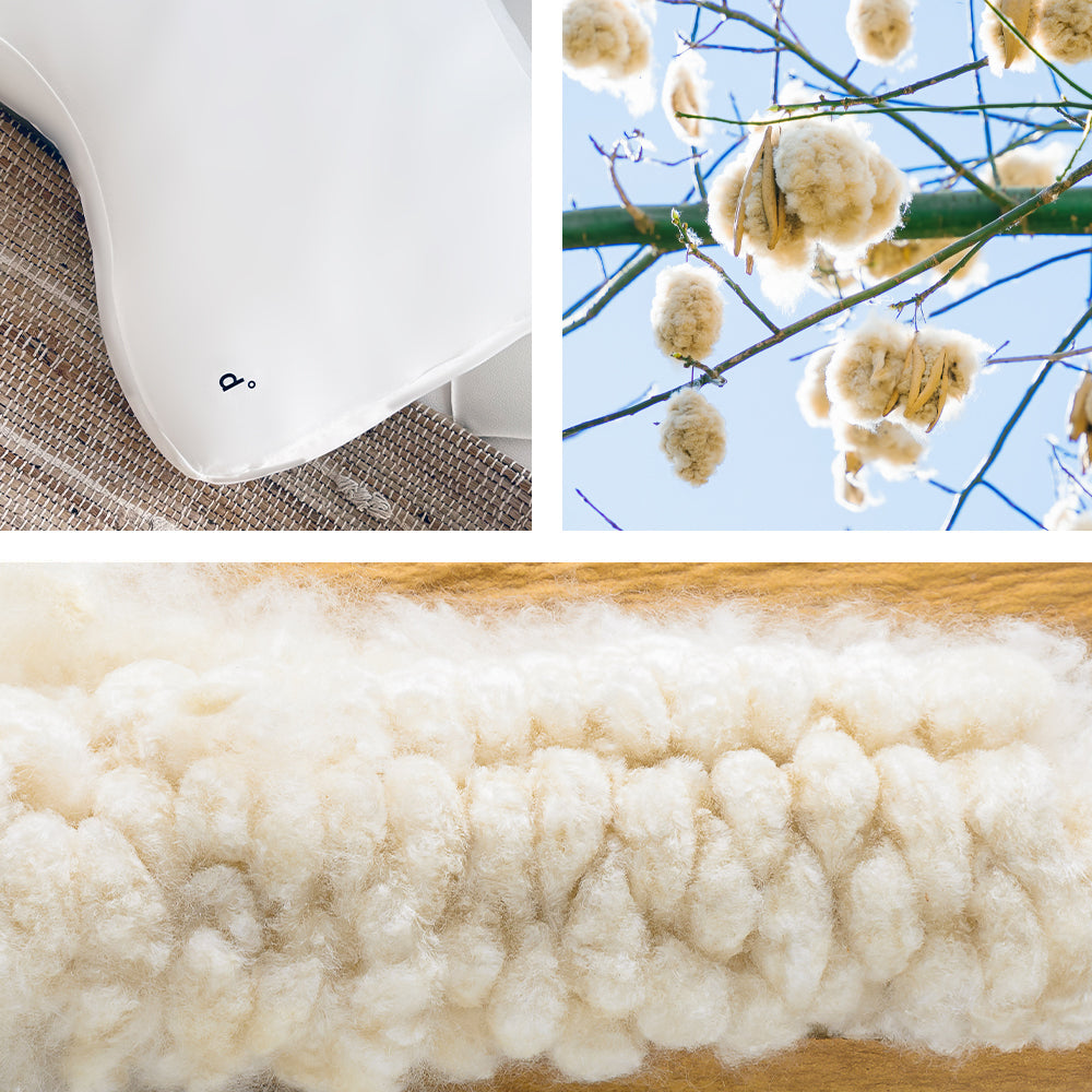 Kapok - natural cellulose fibre