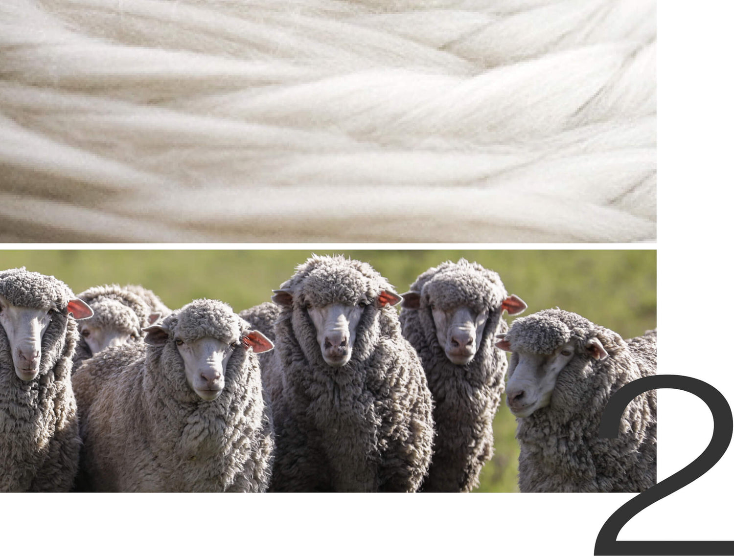 Merino Wool Pyjama