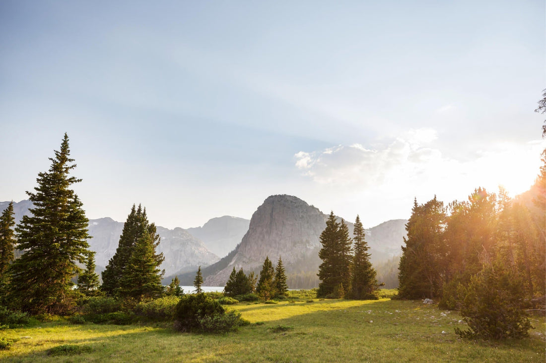 Green Friday: Sleep Well, Make an Impact | DAGSMEJAN