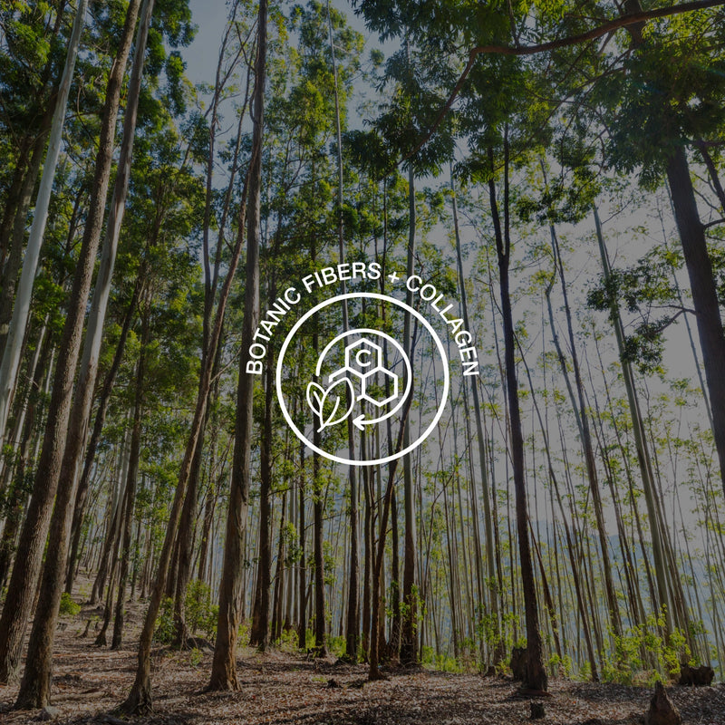 Forest scene with a logo overlay for 'Botanic Fibers + Collagen'.