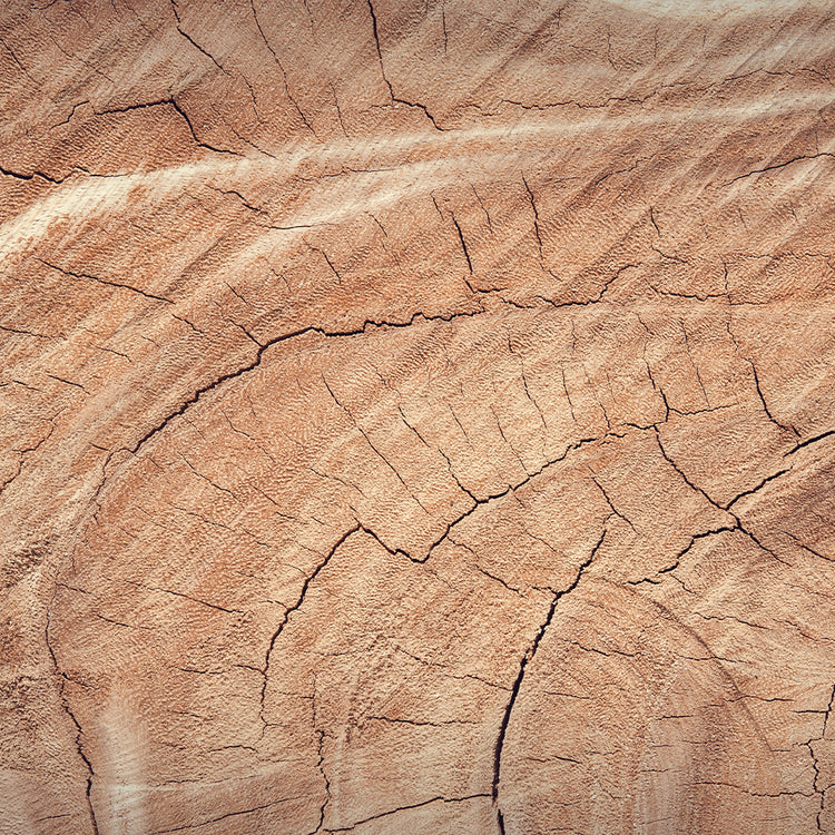 Natural beechwood fibre