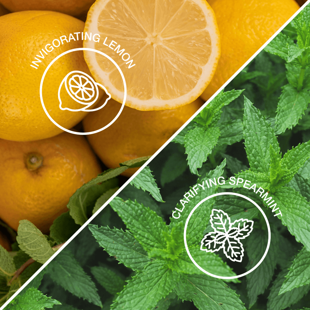 || Citrus & Mint