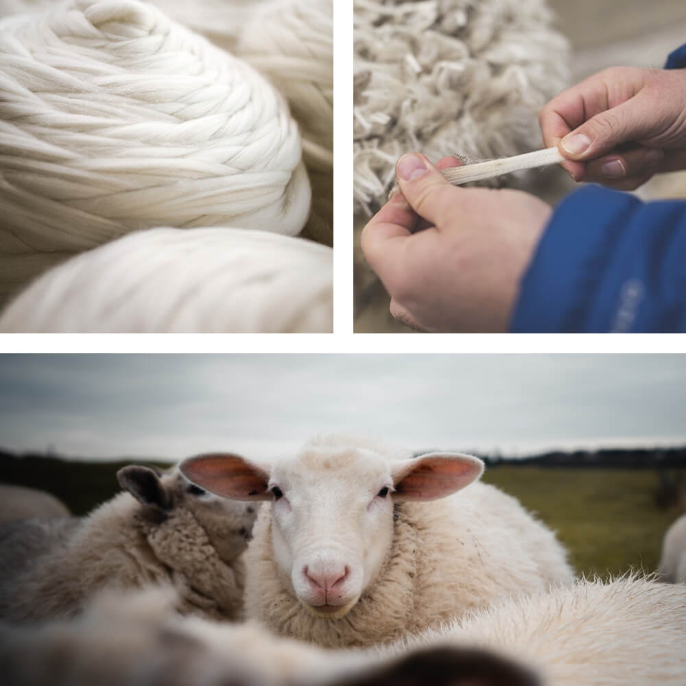warmth of merino wool 